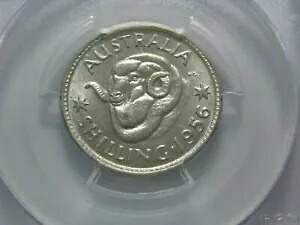 オーストラリア 1956 シルバー シリング レア ロー ミント PCGS MS64 チョイス UNC 認定