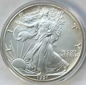 1991 $1 アメリカン シルバー イーグル ドル、初期、年、トーン アラウンド エッジ、UNC