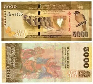 スリランカ 5000 ルピー紙幣 世界紙幣 UNC 通貨紙幣