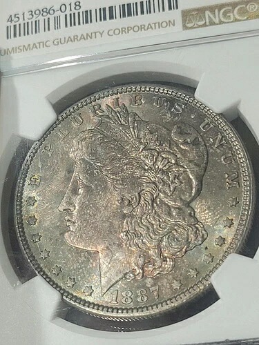 1887年 1ドル モルガン・ダラー MS64 NGC トーン|WORLD RESOURCE【QUEEN店】