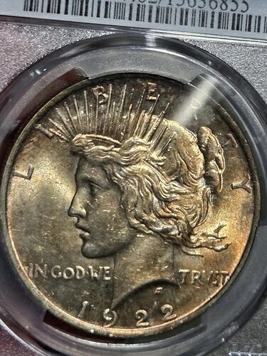 1922年 1ドル ピースドル PCGS MS62 トーン|WORLD RESOURCE【QUEEN店】