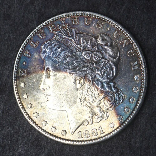 1881-S「トーン表面」モルガン銀貨 1ドル - COINGIANTS -