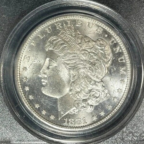 1881-S モーガン シルバードル ~ PCGS MS 65 ~美しいコイン~ REF#9297