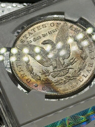 1887年モルガン・ダラー MS 64 NGC アメージングエッジトナー 56,100円
