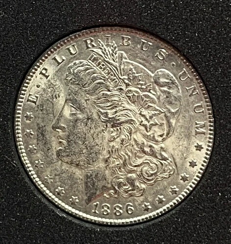 1886年 1ドル モルガン銀貨 AUコンディション エバースラブケース