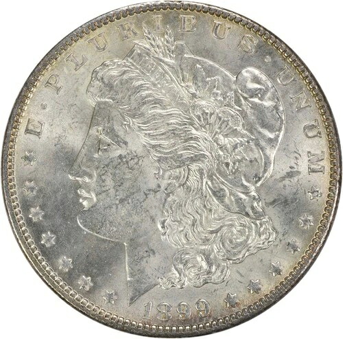 1899年 モルガン銀貨 BU 未認定 #1046