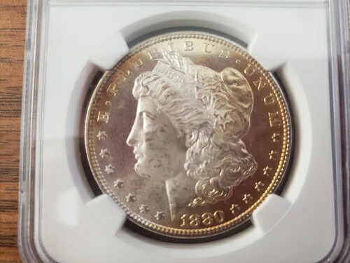 1880年製 モルガン・ダラー銀貨 MS65 認定 1ドル硬貨、非常に美品！希少なゴールドトーン！｜WORLD RESOURCE【QUEEN店】 79,255円