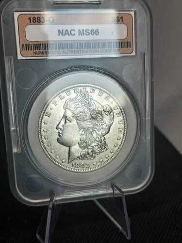 1883-O モルガン銀貨 ? NAC ミントステート ? VAM11-GEM｜WORLD RESOURCE【QUEEN店】
