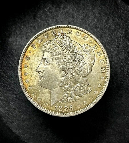 1886年モルガン銀貨（未使用、良好な色調、アルバム保管）（bin9936G）