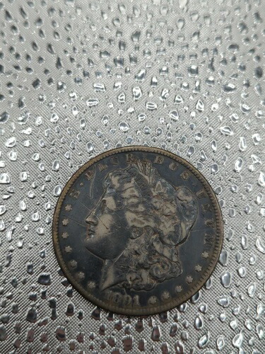 1891年モルガン銀貨