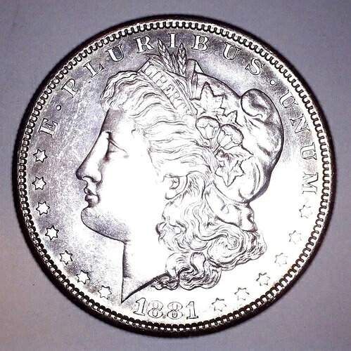 1881年 S モーガン銀貨 BUC ジェム