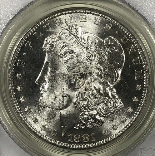 1881年-S モーガンドル 1.00 PCGS MS65。 グリーンケーブル。-｜WORLD RESOURCE【QUEEN店】
