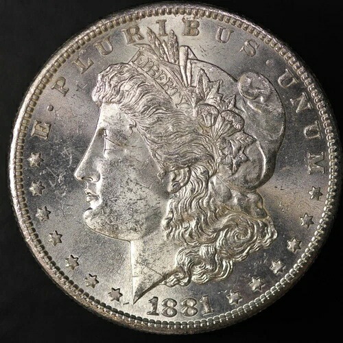 1881年 S モーガン シルバードル - スーパージェム - 古いコレクションからの新鮮な - ロット 8399｜WORLD RESOURCE【QUEEN店】