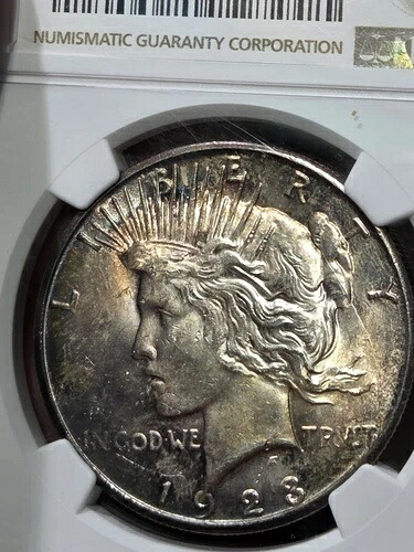 1923年 S $1 平和ドル NGC MS62 トーン
