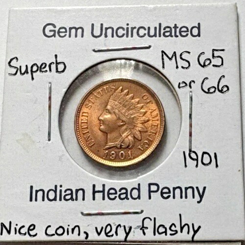 1901年インディアンヘッドペニーセント、美しく輝く光沢
