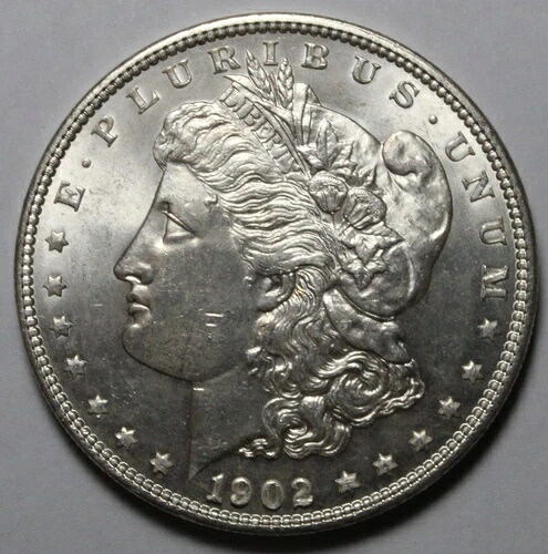 1902年 モルガン銀貨 DU10