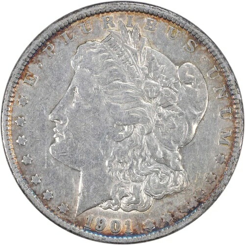 1901年 モルガン銀貨 EF 未認定 #315｜WORLD RESOURCE【QUEEN店】