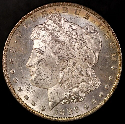 1886年 モーガンシルバードル (トーン) 地元のコレクションロットからフレッシュAA 8003-