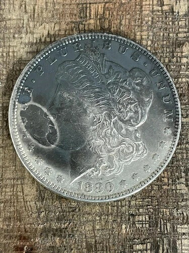 1880年 1米ドル モーガンシルバードル-｜WORLD RESOURCE【QUEEN店】