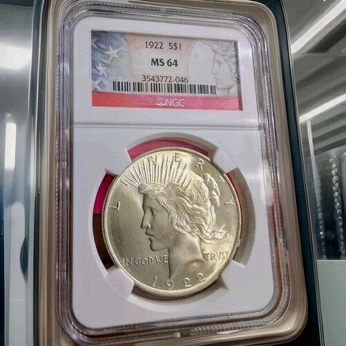 1922年 $1ピースドル NGC MS64 送料無料-|WORLD RESOURCE【QUEEN店】