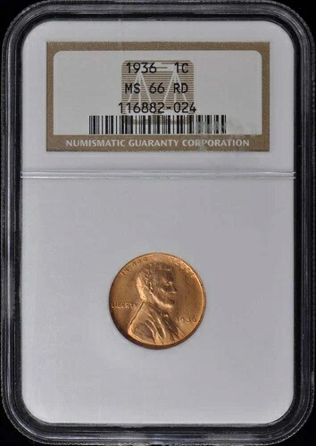 1936 1セント リンカーンセント NGC MS66 RD-|WORLD RESOURCE【QUEEN店】