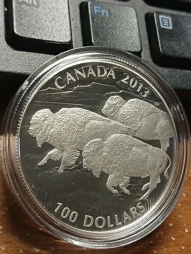 2013年 $100.00 バイソン・スタンピード