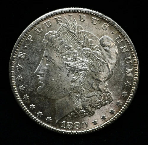 1880年-S モーガンシルバードル#EB11347-|WORLD RESOURCE【QUEEN店】