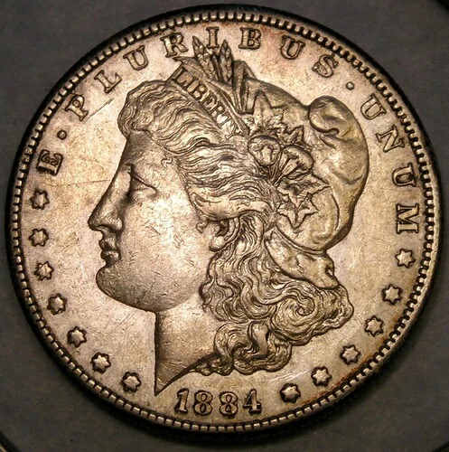 1884年 S モーガン シルバードル 非常に希少 セミキー 美しい羽根飾り ヘアリース|WORLD RESOURCE【QUEEN店】
