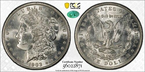 1903-O モルガン・ダラー PCGS MS64 CAC - 派手な白 - 高反射 - セミキー