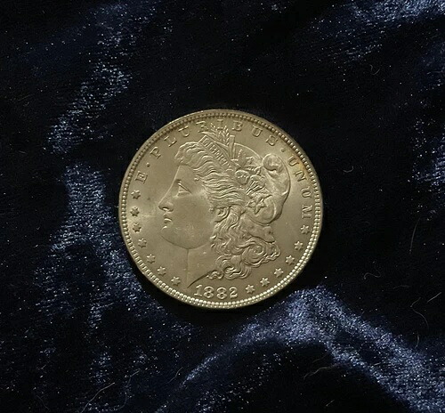 1882年 モーガンシルバードル PL-