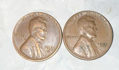 1955年リンカーン小麦