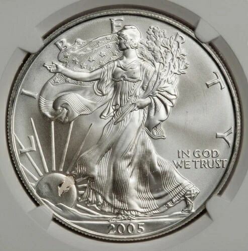 2005 NGC MS68 プラスチックストライクスルーシルバーイーグルドルミントエラーユニーク
