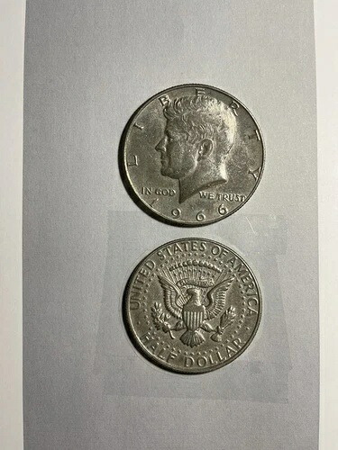 1966年のアメリカのハーフドル
