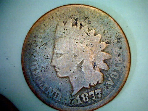 1877年米国コイン インディアンヘッドペニーオークション 300,960円
