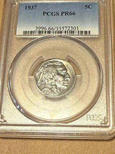 1937年 バッファローニッケル PCGS PR66 - 高品質プルーフコイン｜WORLD RESOURCE【QUEEN店】
