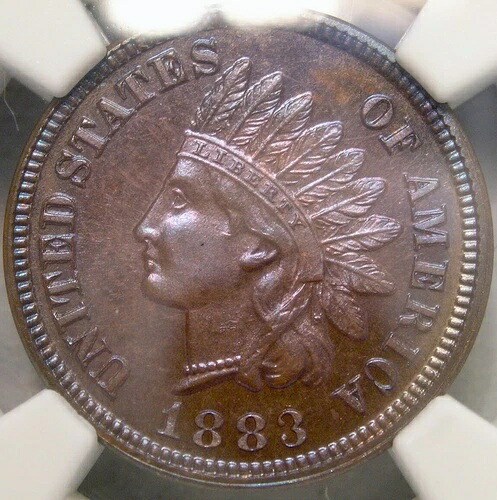 1883/3 インディアンヘッド セント/ペニー 希少 スノー-PR6 最高峰 ブレイザー NGC PF 66 BN｜WORLD RESOURCE【QUEEN店】