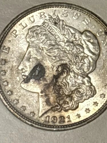 1921-D モーガン・シルバー「ユニークで希少」｜WORLD RESOURCE【QUEEN店】