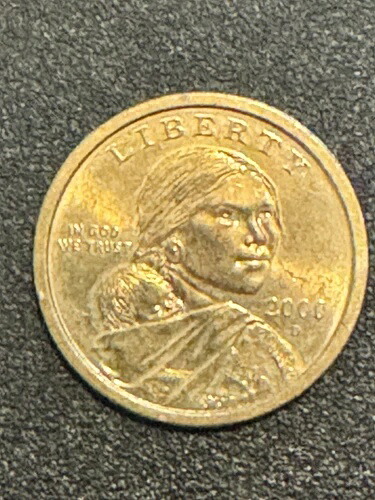 レア 2000 年サカガウィア $1 コイン-プルーフ品質、歴史的なデザイン、美しいパティナ-｜WORLD RESOURCE【QUEEN店】