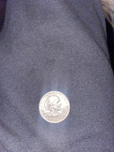 1980年 D スーザン B アンソニー リバティ *1ドル硬貨* 流通品 希少 ワイドリム｜WORLD RESOURCE【QUEEN店】