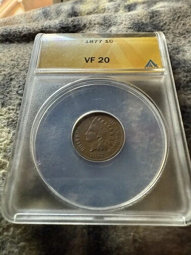 1877年インディアンヘッドペニー Anacs Vf 20 非常に美しい色、問題なし!!｜WORLD RESOURCE【QUEEN店】