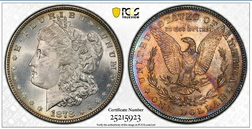 1878年 モーガンドル シルバー PCGS MS65 7/8 テール フェザー弱 VAM 33 DBL トーン ??-