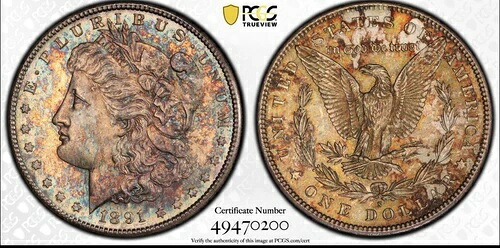 1891年製 モルガン銀貨 PCGS ms65 エクセレントトーン｜WORLD RESOURCE【QUEEN店】