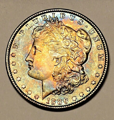 1886年 P モルガン ダラー トゥルー レインボー アルバム 完全ブトーン加工 OBV/REV 正規品 希少