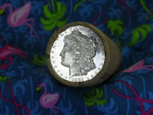20 UNC BU コイン モーガンダラー DMPL 1881 END / DMPL CC END BESTEVER #4087|WORLD RESOURCE【QUEEN店】
