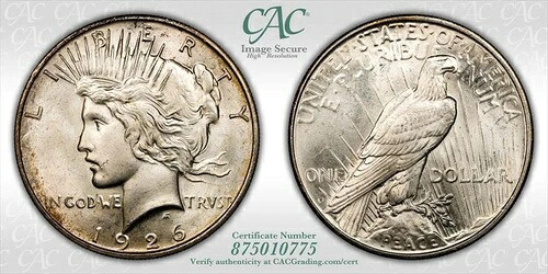 1926年-D $1 CACG MS 65-|WORLD RESOURCE【QUEEN店】