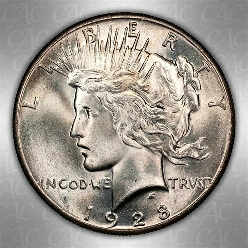 1928年 $1 CACG MS 64 -｜WORLD RESOURCE【QUEEN店】