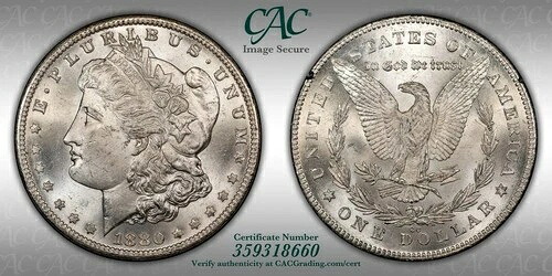 1880年-CC $1 GSAの宝庫、1878年8月7日の逆、vam-7a CAC MS64 ハードバリアント!-｜WORLD RESOURCE【QUEEN店】