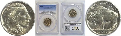 1915 5C バッファローニッケル PCGS MS-67-|WORLD RESOURCE【QUEEN店】