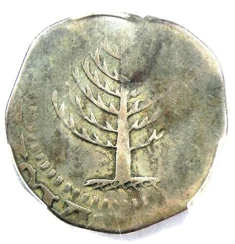 1652年 マサチューセッツ パインツリー シルバー シリング 1S - PCGS VF 詳細認定