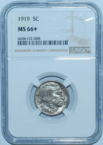 1919年 NGC MS66+ バッファローニッケル-|WORLD RESOURCE【QUEEN店】